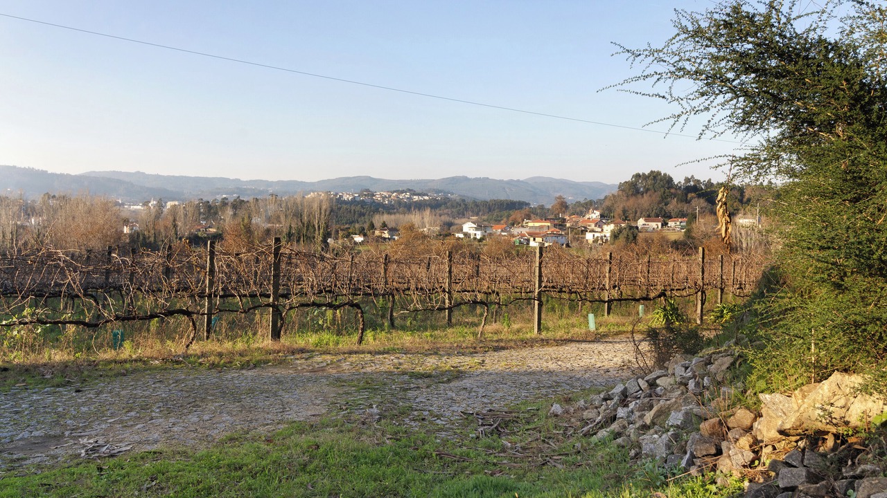 Photo of Others in Amares