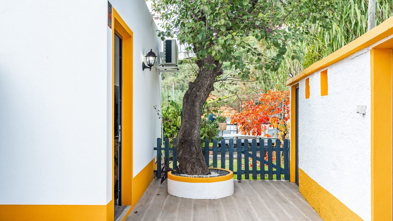 Photo of Outdoor in Ponta do Sol