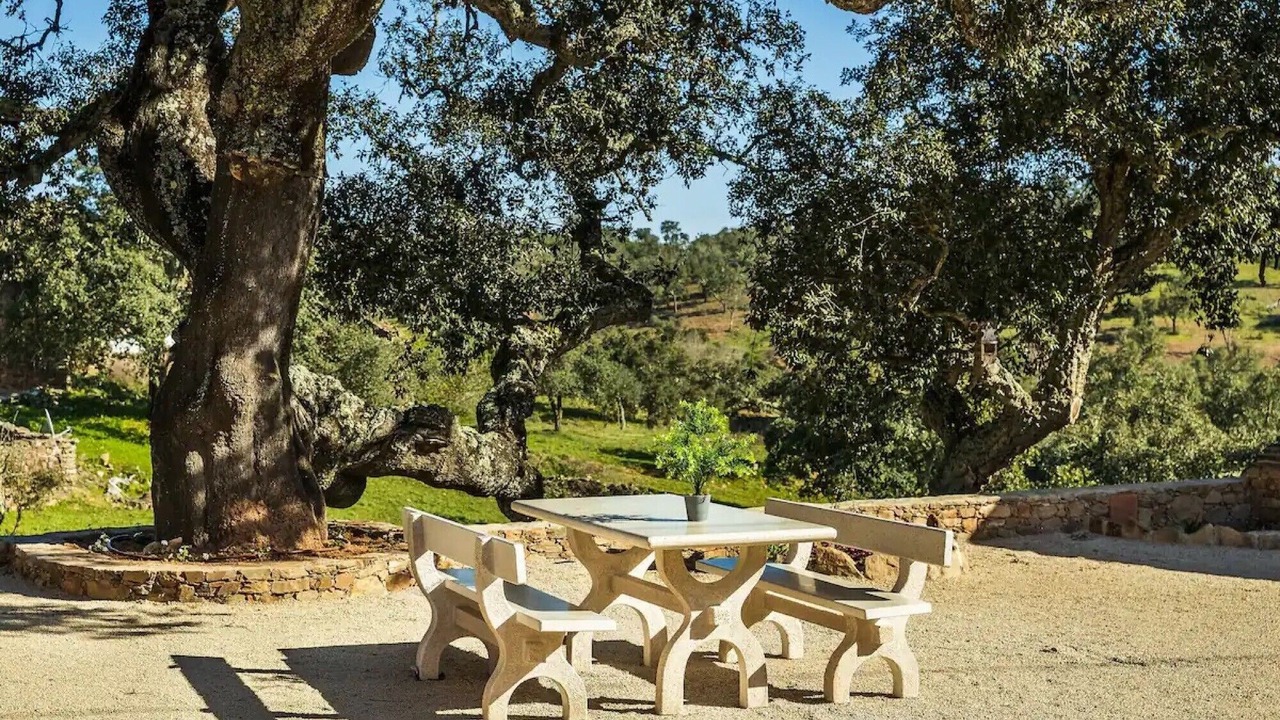 Photo of Outdoor in Loule