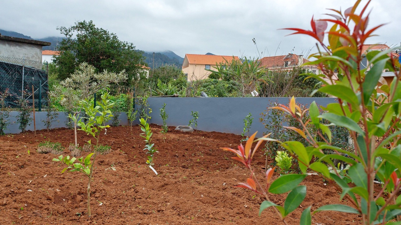 Photo of Outdoor in Santana
