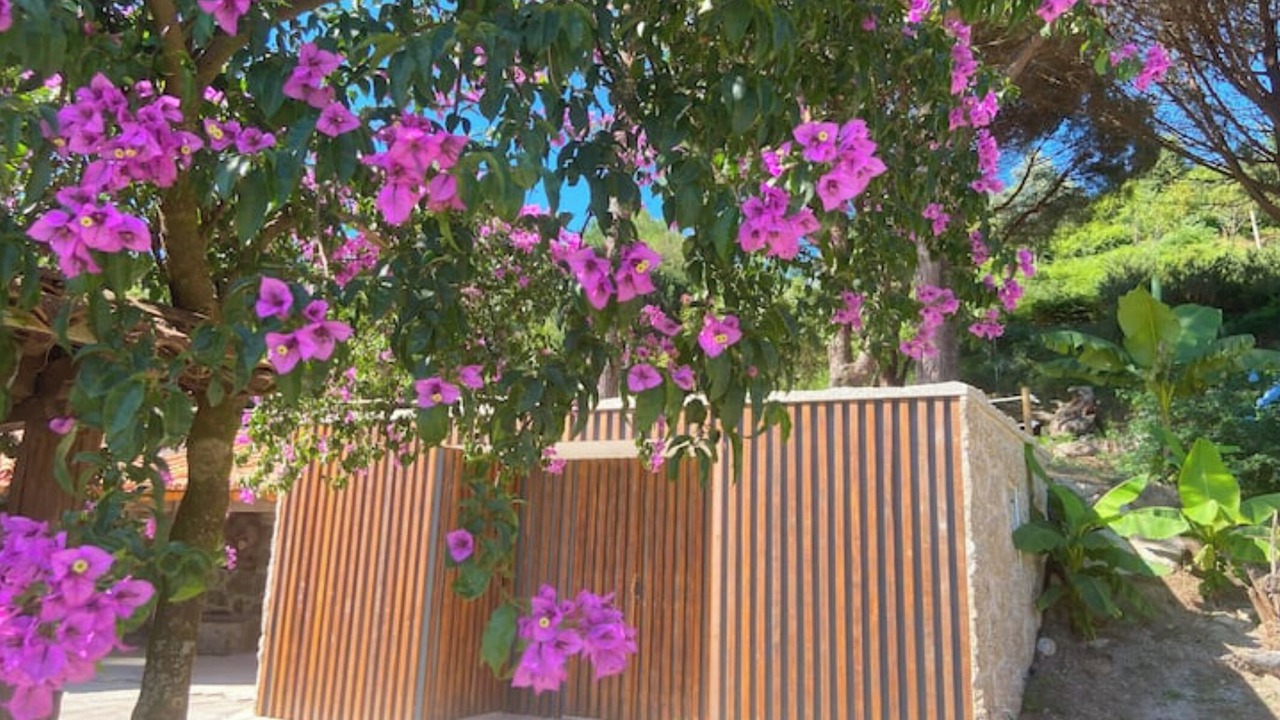 Photo of Outdoor in Pico