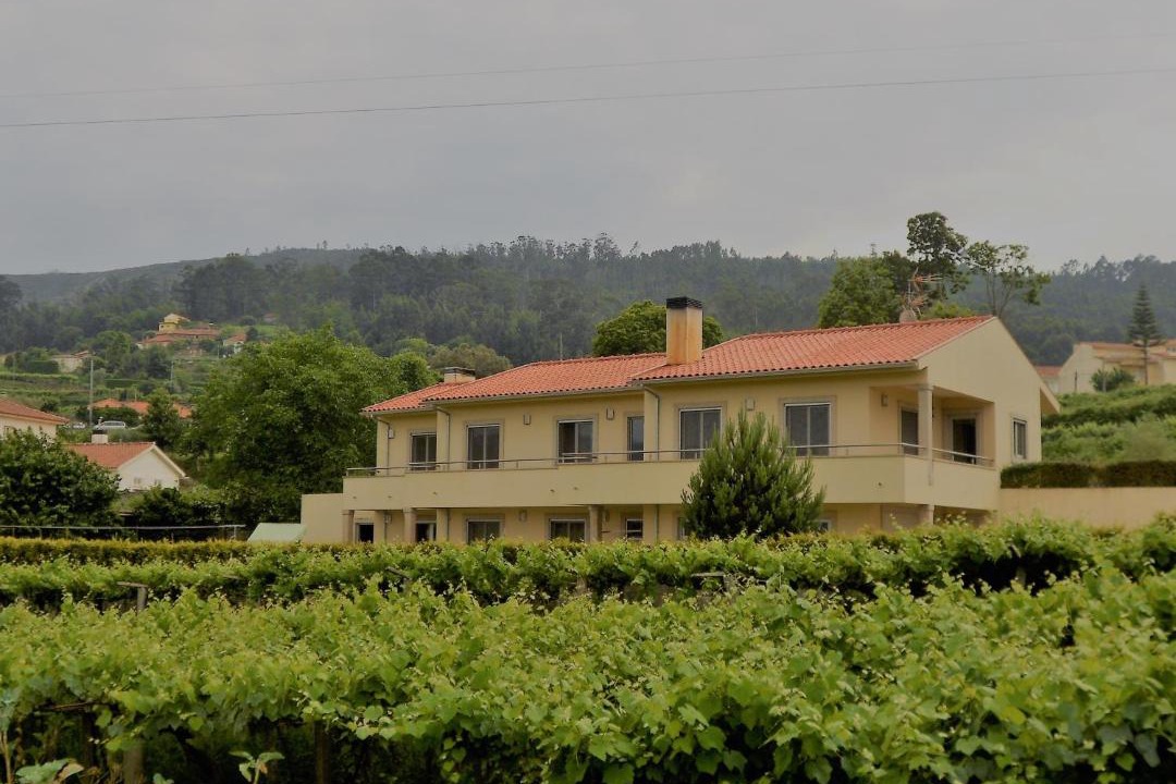 Photo of Others in Vilarelho