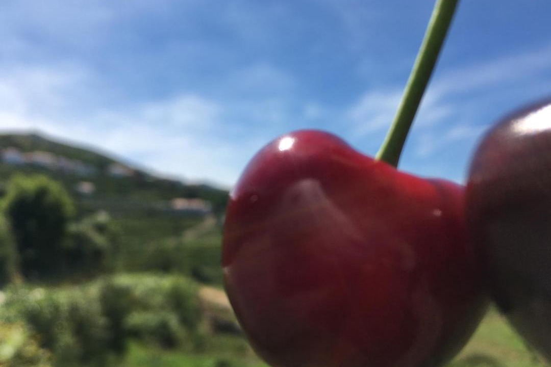 Photo of Others in Alcongosta