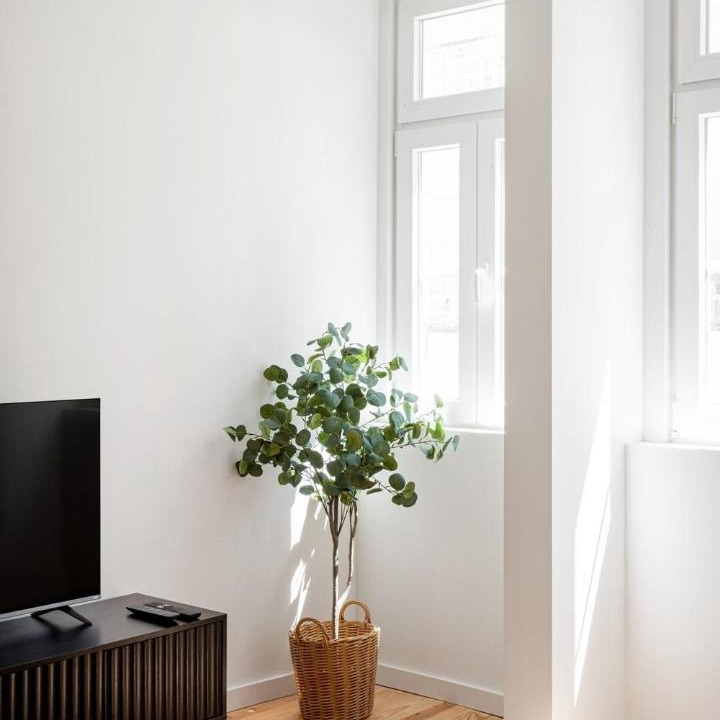 Photo of Livingroom in Sao Jorge de Arroios