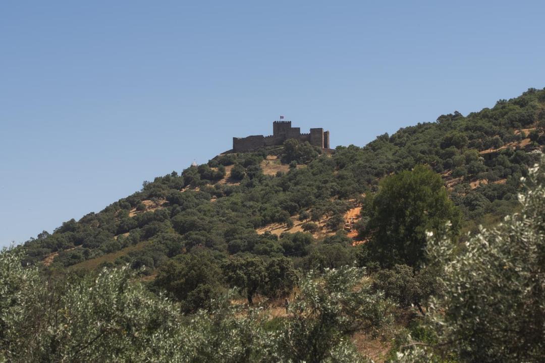 Photo of Others in Reguengos de Monsaraz