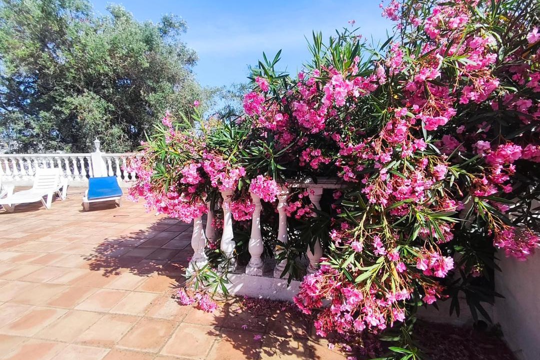 Photo of Patio Balcony in Sao Bras de Alportel