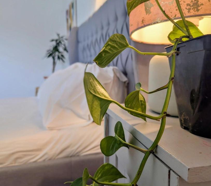 Photo of Bedroom in Friumes e Paradela
