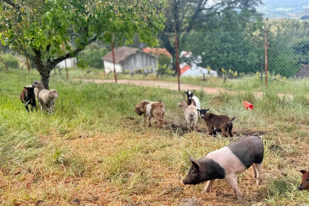 Photo of Others in Reveladas