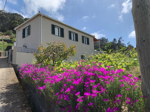 Photo of Others in Porto da Cruz