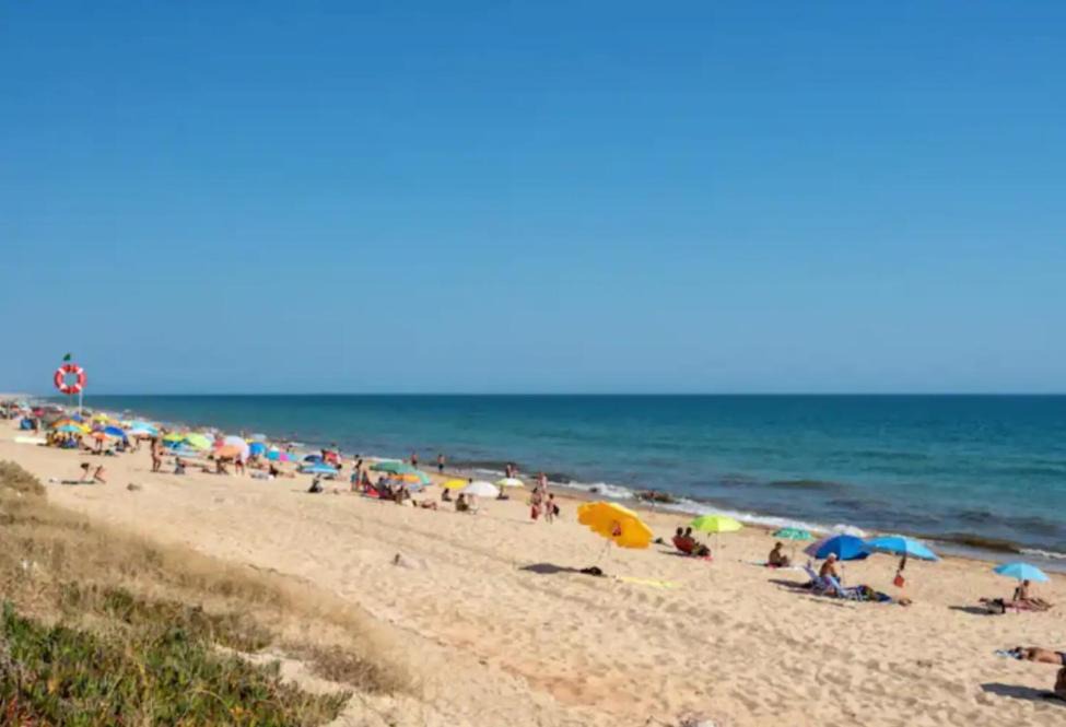 Photo of Others in Praia de Faro