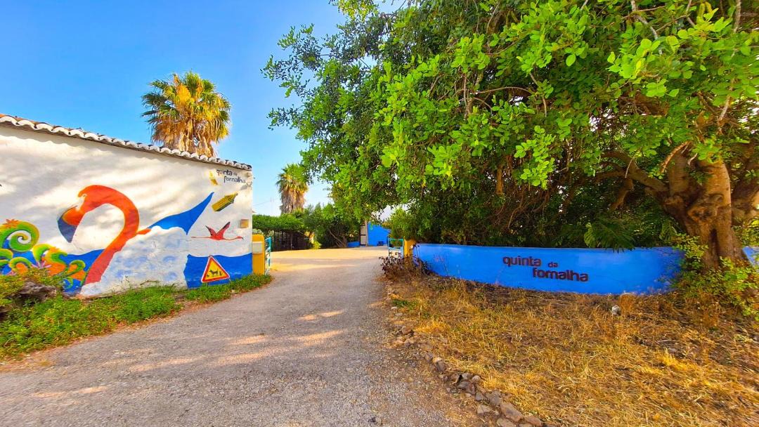 Photo of Others in Sao Bartolomeu