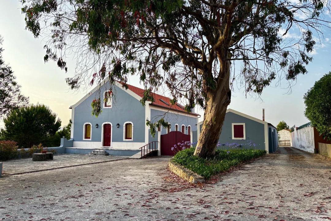 Photo of Others in Alfeizerao