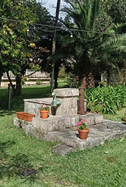 Photo of Others in Belinho