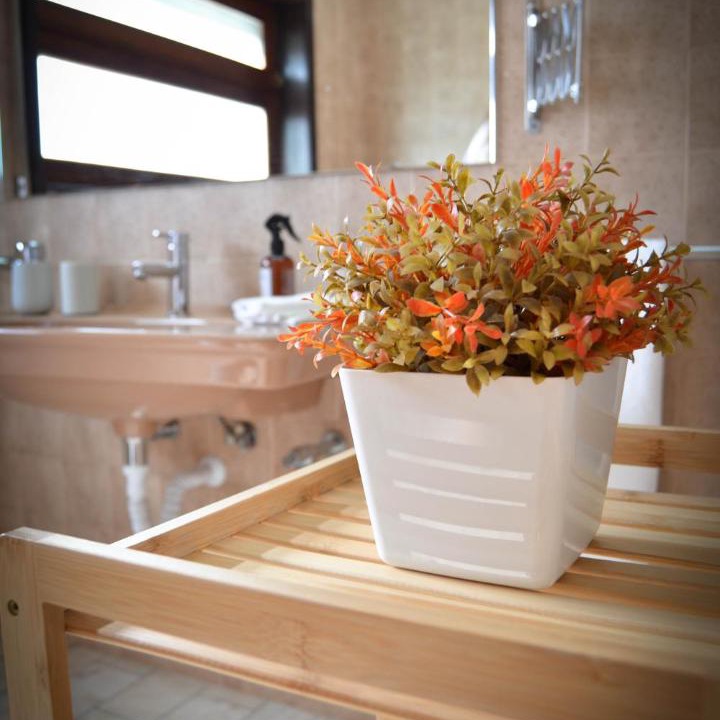 Photo of Bathroom in Mafamude