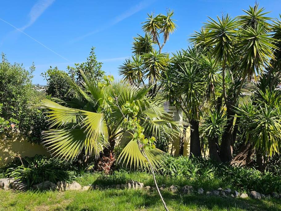 Photo of Others in Fonte de Sesimbra