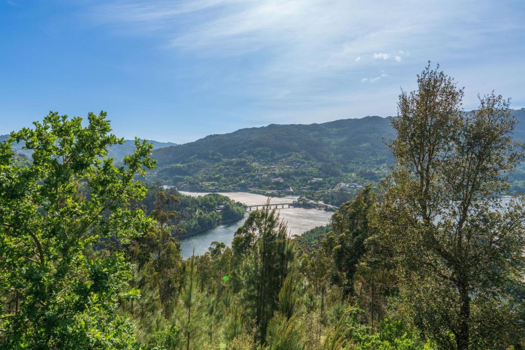 Photo of Others in Cova