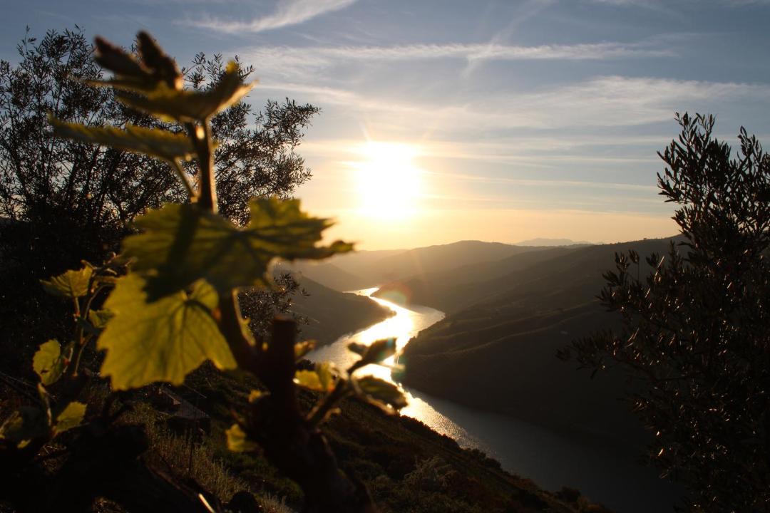 Photo of Others in Valenca do Douro