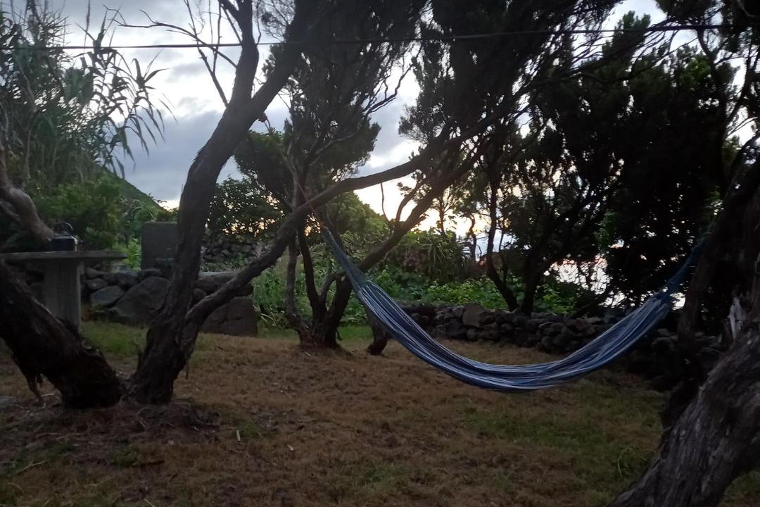 Photo of Others in Calheta