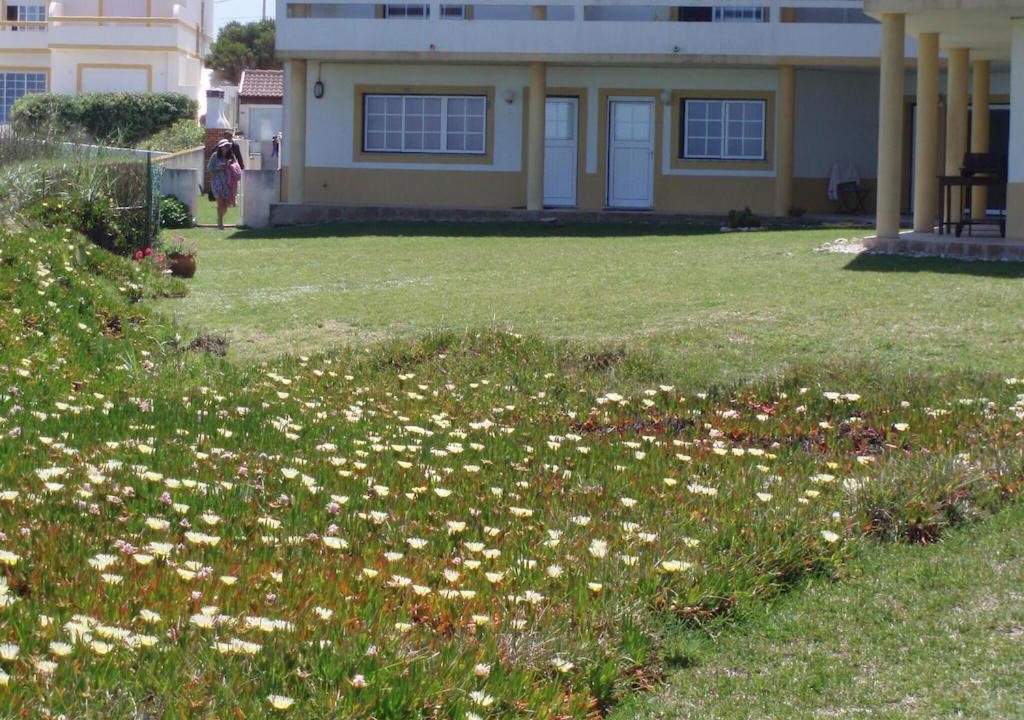 Photo of Others in Baleal