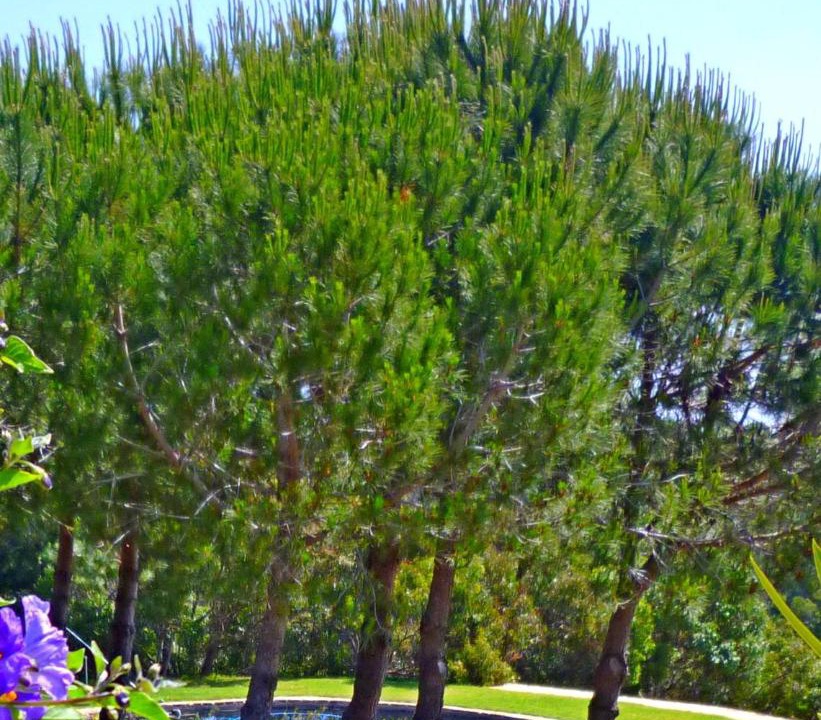 Photo of Others in Barao de Sao Joao