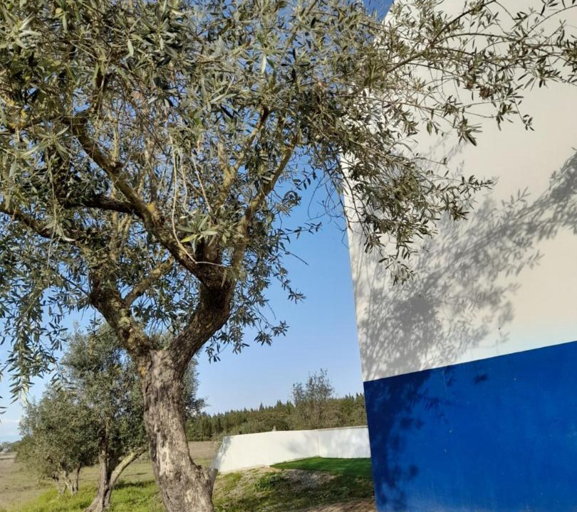 Photo of Others in Fronteira