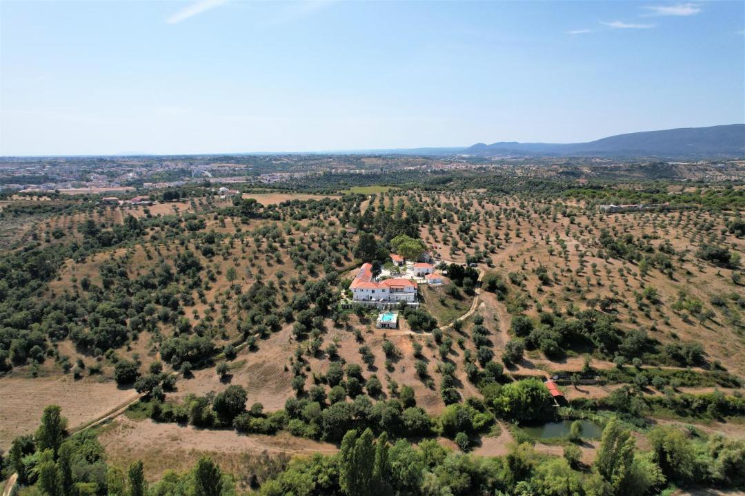 Photo of Others in Torres Novas