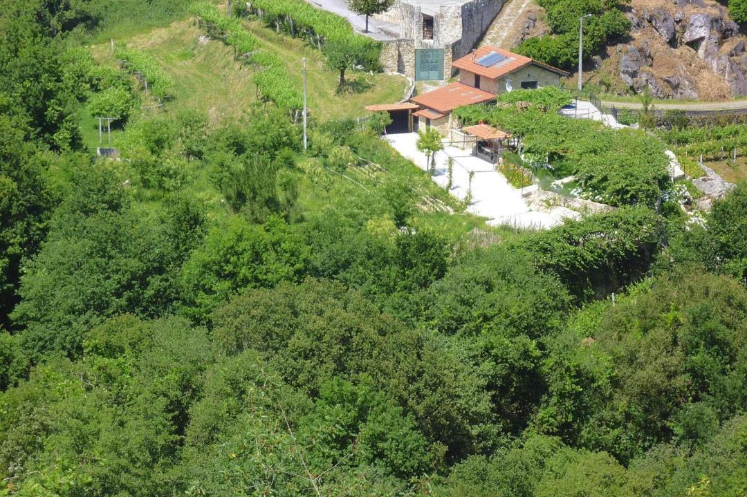 Photo of Others in Macieira de Cambra