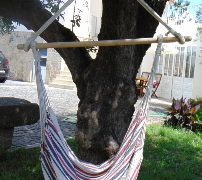 Photo of Others in Barcelos