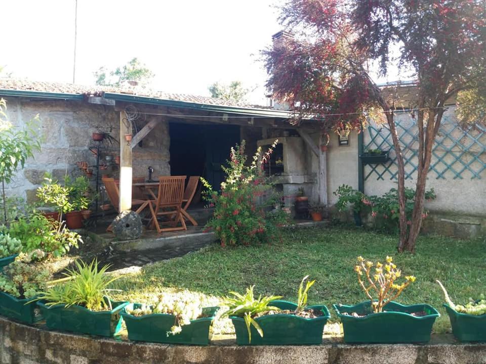 Photo of Others in Seixo da Beira