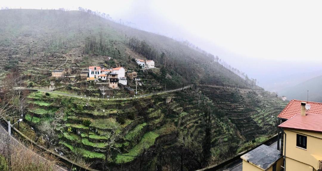 Photo of Others in Balocas