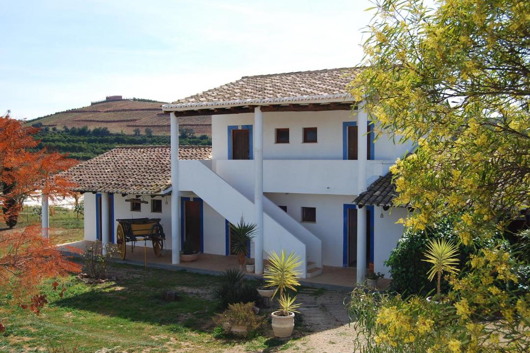Photo of Others in Silves