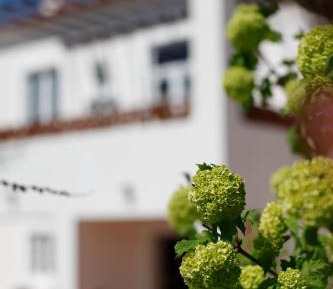 Apartment with Garden View