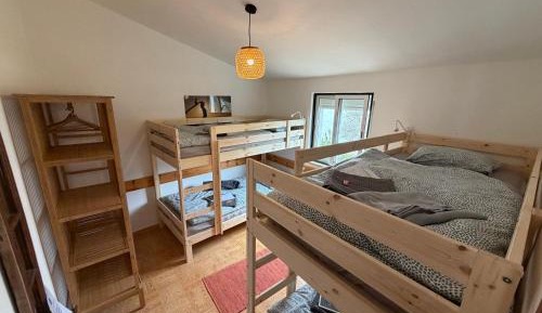 Bunk Bed in Mixed Dormitory Room