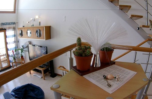 Nazare House | Casa da Buzina