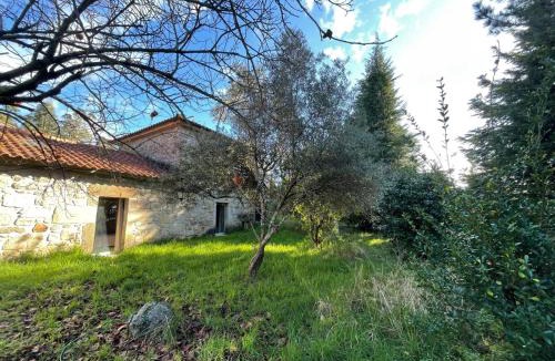 Paredes de Coura House | Paredes de Coura Villa