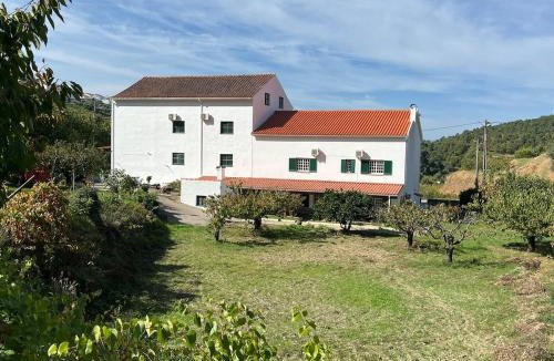 Alcongosta House | Miraculous Jungle Guest House, Quinta em atividade