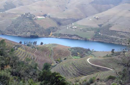 Tabuaco House | Douro Barcos House Local