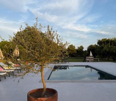 Braga House | Quinta da Maínha - Charming Houses - com piscina privada