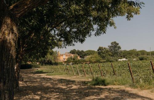Aldeia de Irmaos House | Quinta De Catralvos