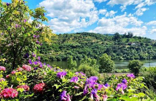 Baiao House | Farm Paradise in Douro 10 people