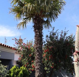 Safara House | Casa do Sol