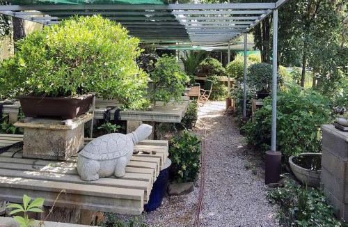 Tavira Apartment | Quinta das Eirinhas-Jardim de Bonsai